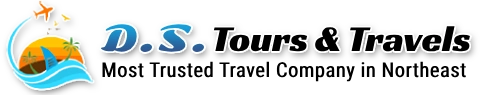 d s tours & travels pvt ltd